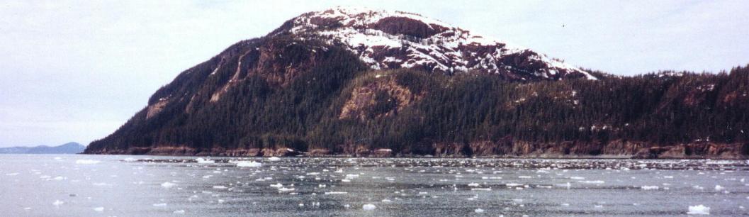Glacier Island b.JPG (54443 bytes)